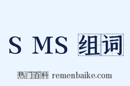 SMS组词是什么意思的图片